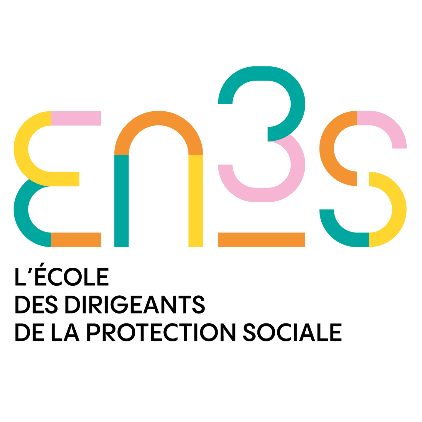 Logo de EN3S